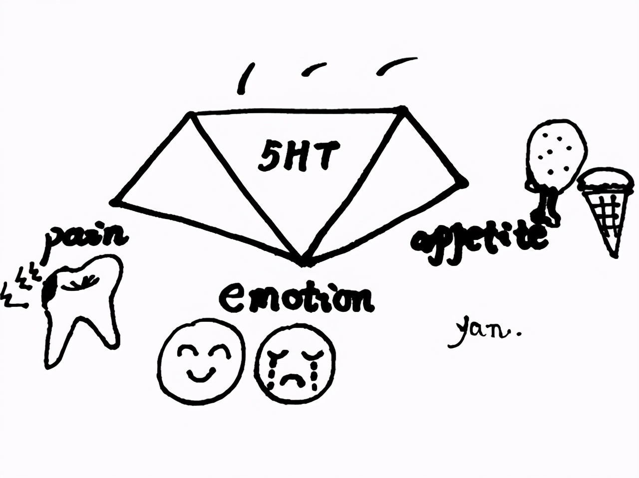 和男性*泄早**相关的“瘦素”是什么？你知道吗？医生一文为你说清