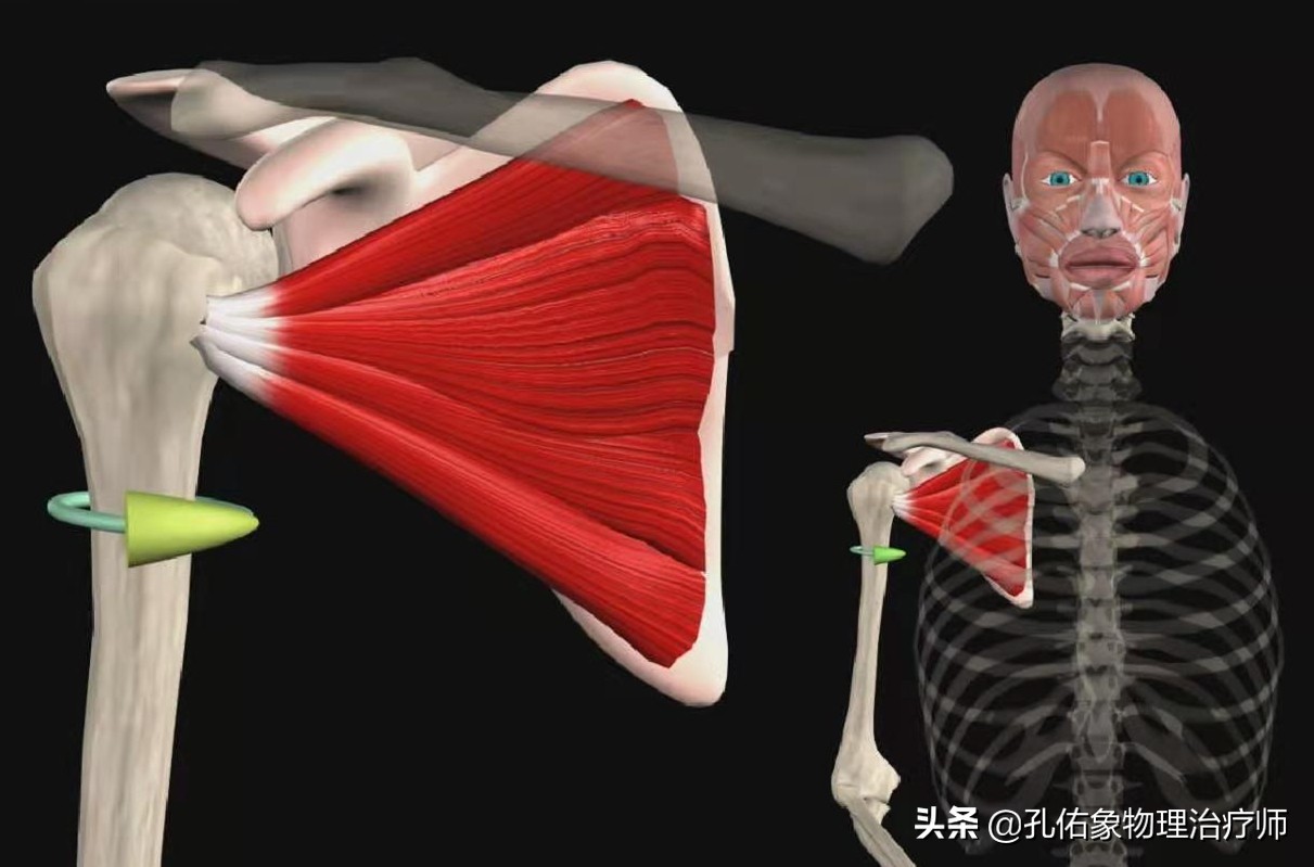 颈椎病引起的手麻颈肩痛怎么治疗,颈肩痛除了颈椎病还有哪些病