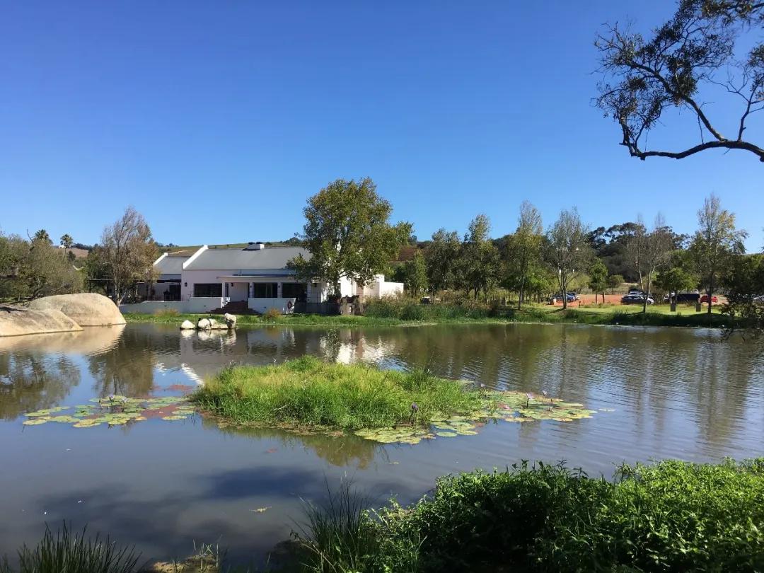 南非特产酒,南非映象