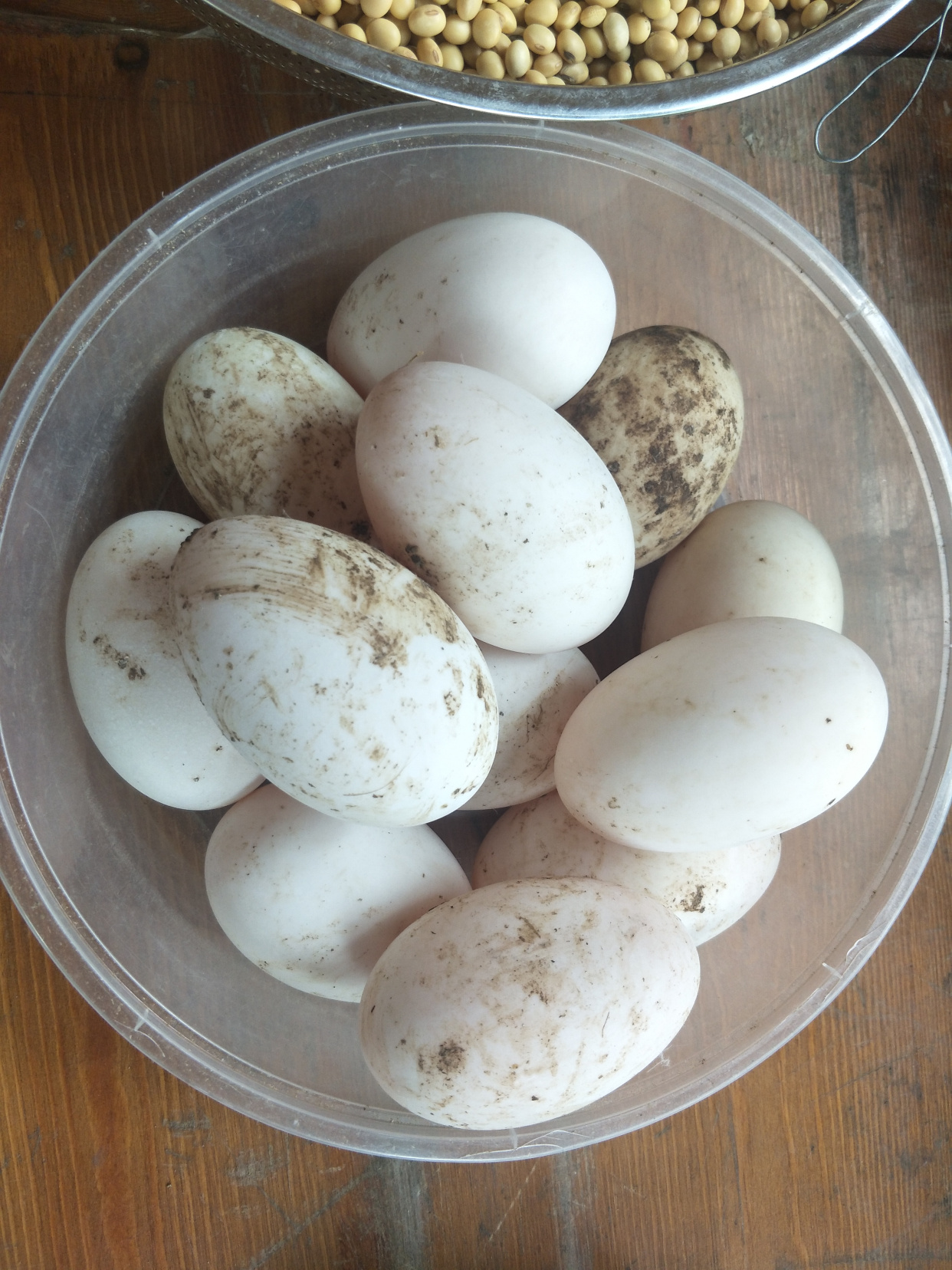 崇州竹里建筑,成都市崇州竹里