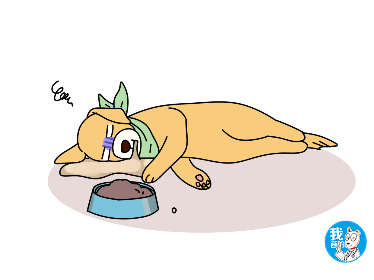 狗狗肠胃炎早期症状及治疗方法,狗狗得肠胃炎的症状及治疗