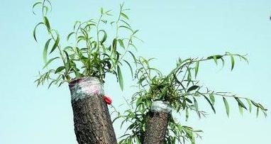 让你过敏,让人过敏的方法