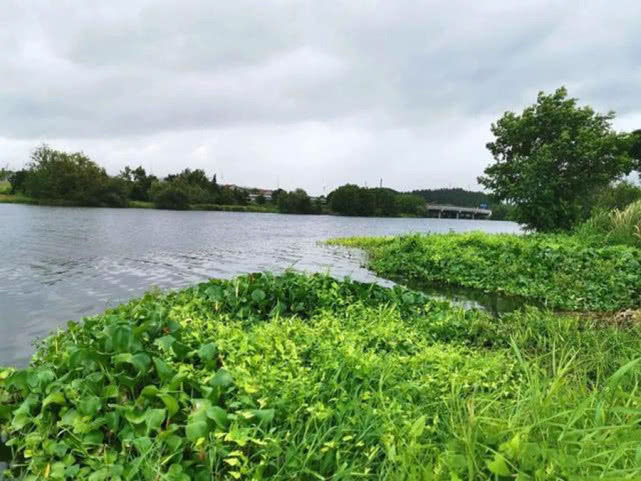 钓鱼打窝怎么打最好,钓鱼打窝怎么打比较好