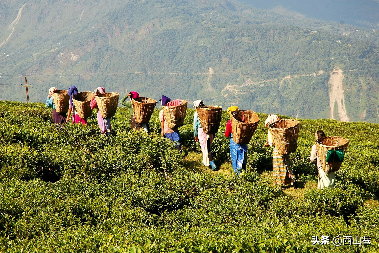 马来西亚国民奶茶品牌,马来西亚传统国民零食品牌叻歌派