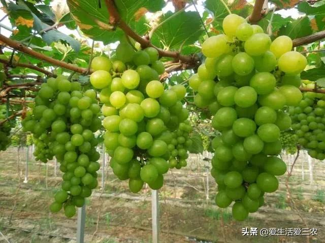 推荐小成本创业点子,推荐零成本创业点子