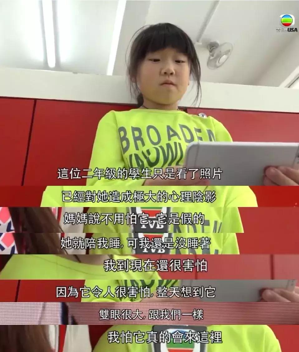 给孩子玩手机好还是玩ipad好,ipad有必要给孩子玩吗