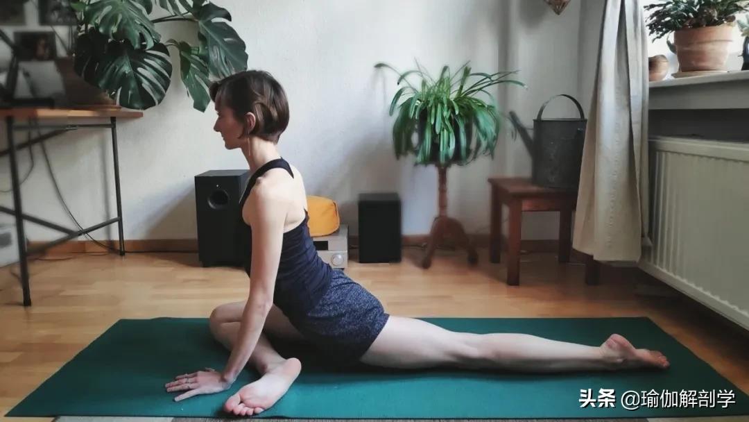 最简单的瑜伽动作初学者,最简单的瑜伽动作刚入门