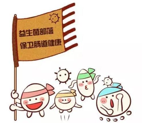 柯基狗大便先稀后干,狗大便稀