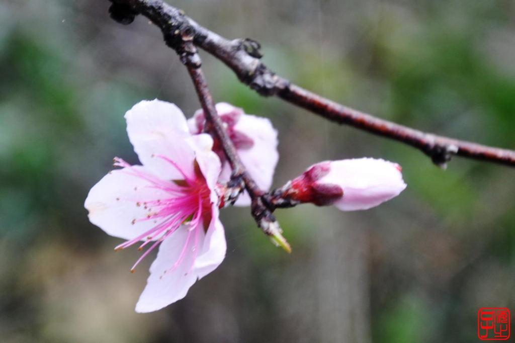 浙江母亲河钱塘江,浙江台州春风