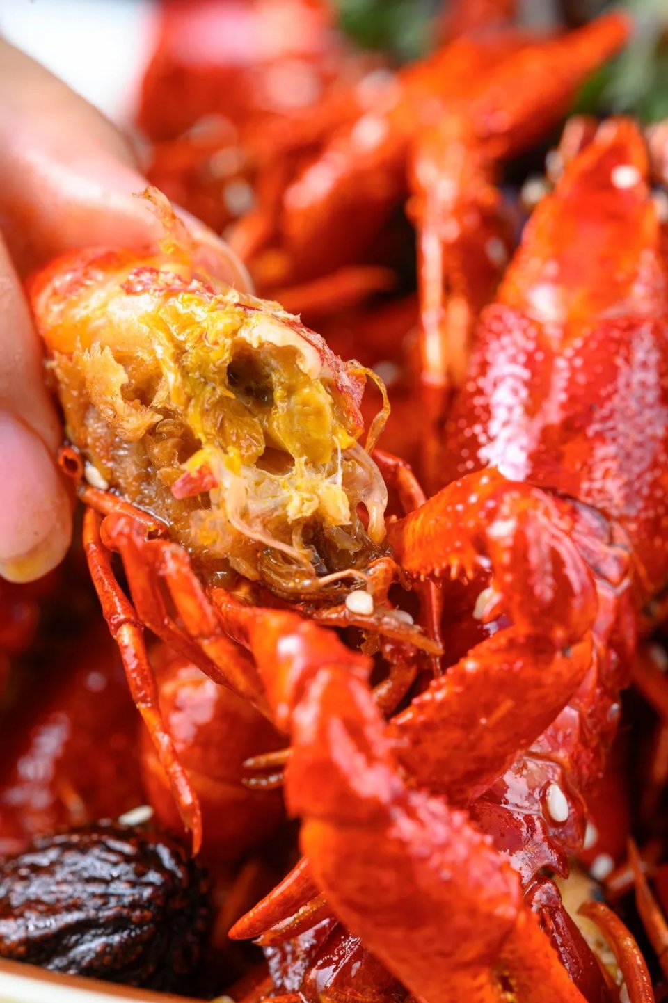 巴掌大小龙虾,深夜爆香小龙虾