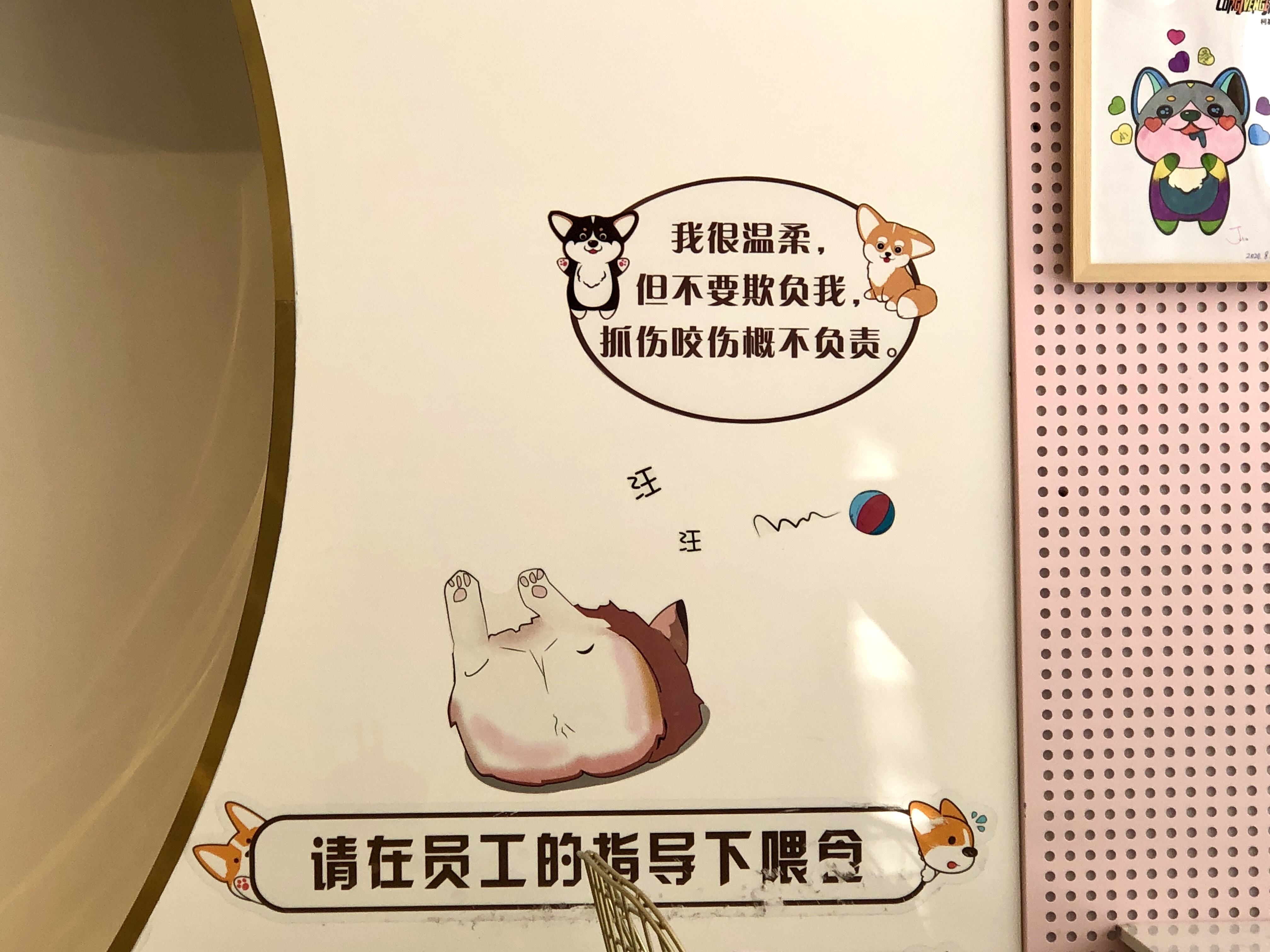 撸动物的网红店顺德,撸小动物的网红店北京世纪金源