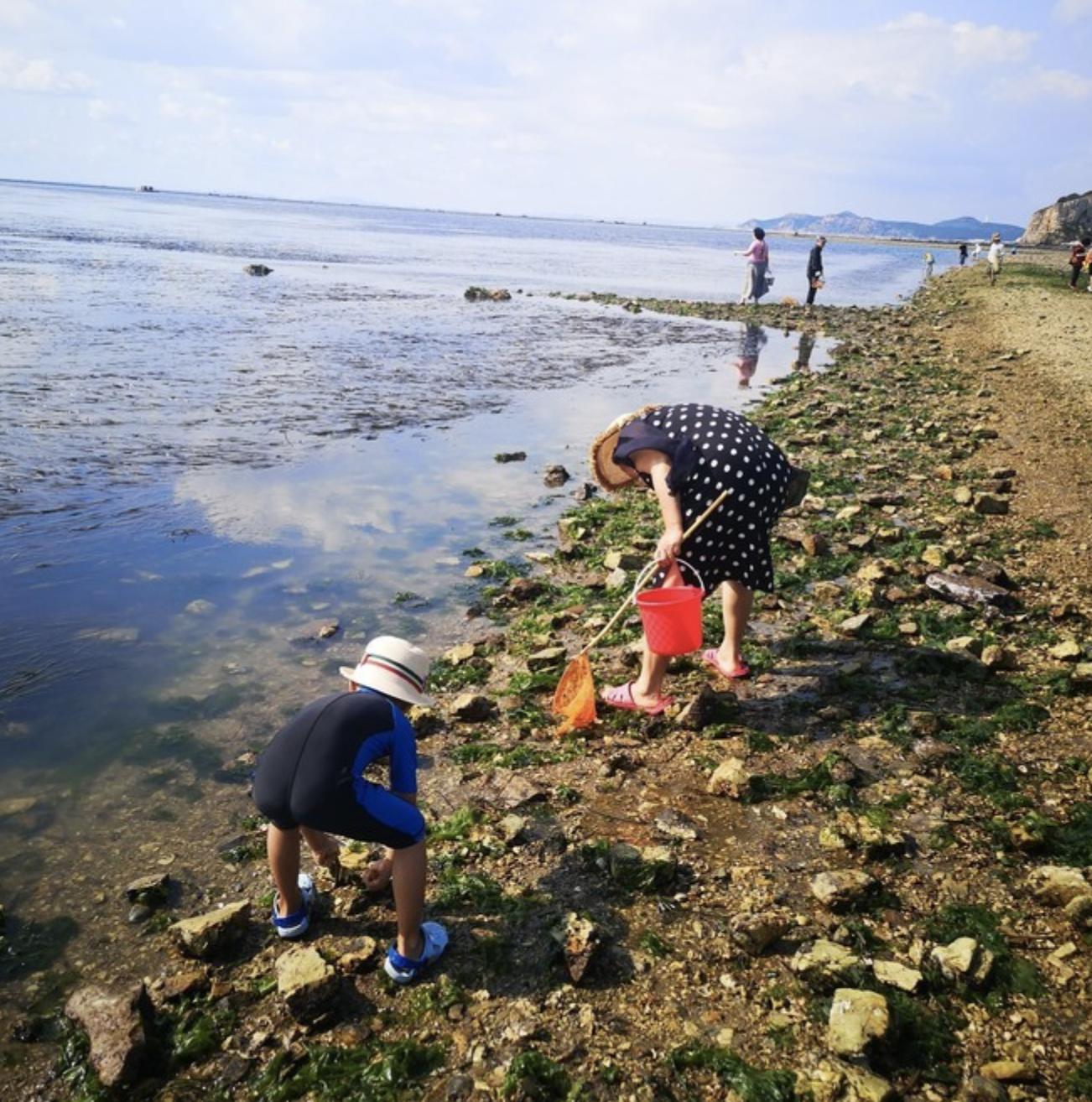 端午海岛旅游攻略,端午海岛游
