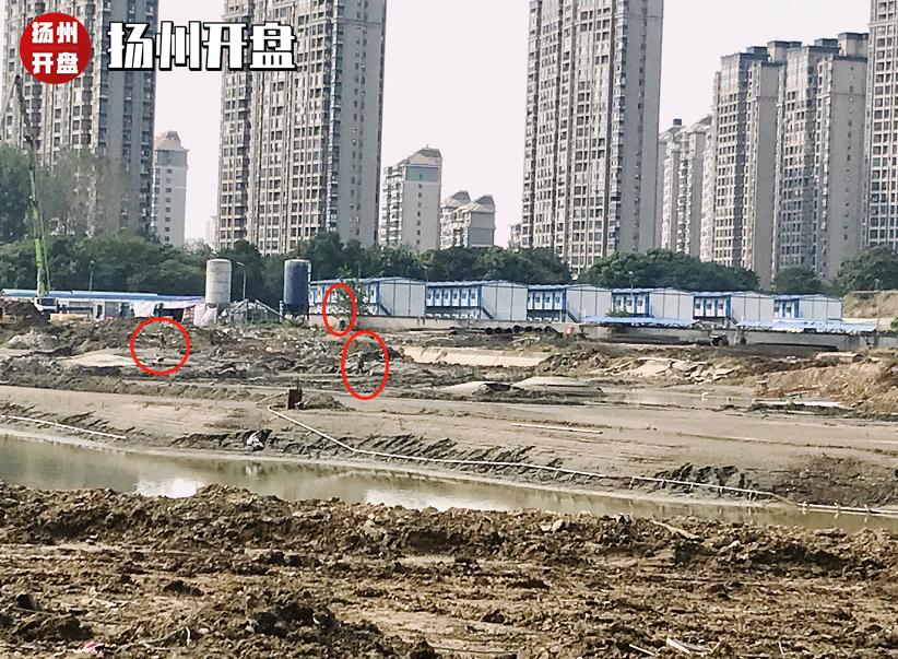 苦等16年，预计2万出头！刚刚扬州神盘曝出猛料