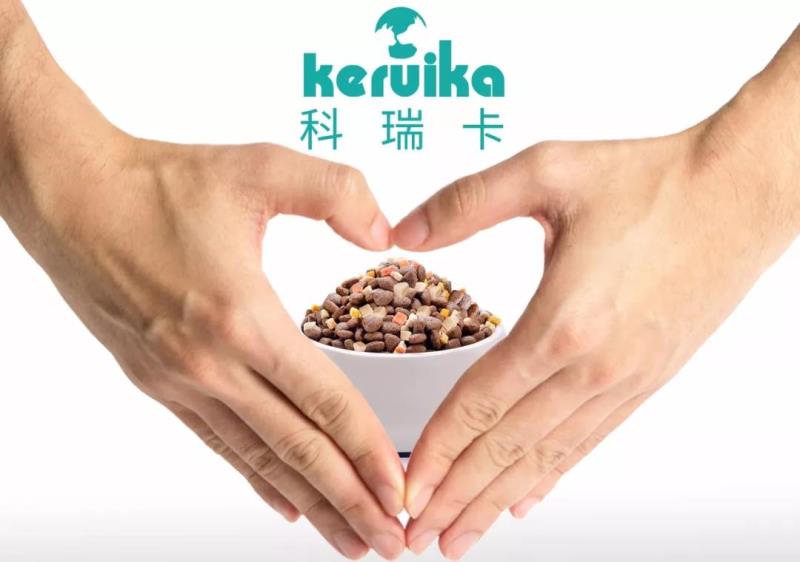 怎么阻止猫咪乱抓东西,怎么样不让猫咪抓虫子