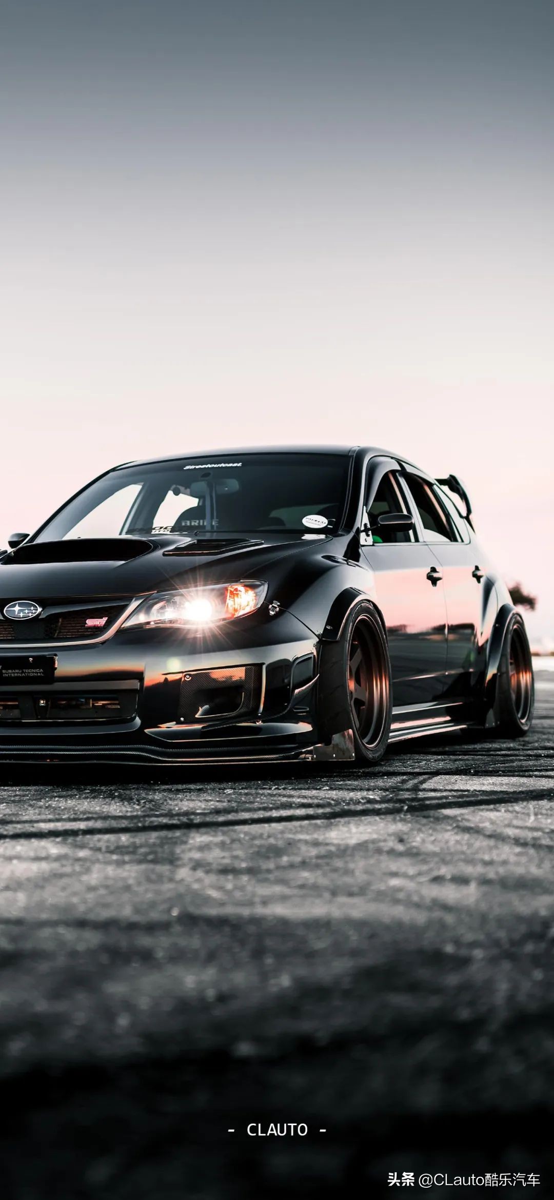 ​近乎残疾，不忍直视|流浪豹STI收养记Vol.01