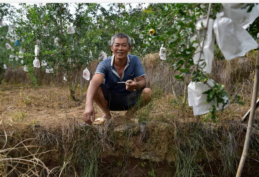 突尼斯软籽石榴可以喝的石榴,突尼斯软籽石榴和雅诗兰黛