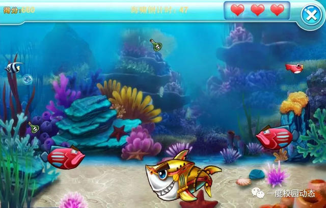 一度教育长沙培训中心,长沙it培训机构价钱如何