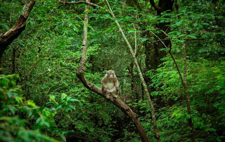 萍乡市武功山值得去吗,萍乡武功山和武功山门票互认
