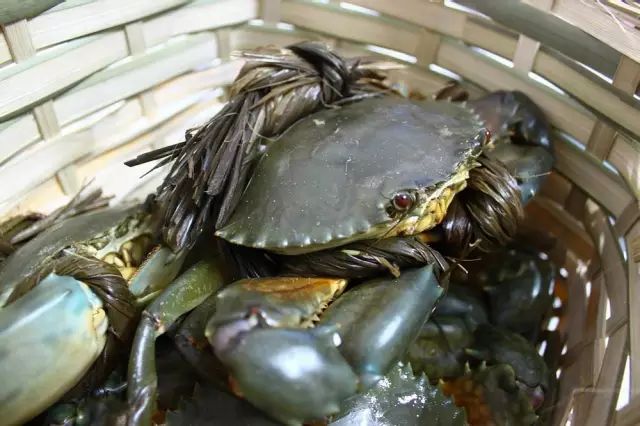 醴陵市海鲜收藏排行榜,海鲜礼盒收藏价格表图