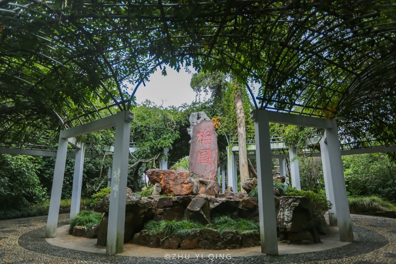 无锡梅园不只能赏梅，初秋近万亩百合花海盛放，小姐姐直呼太美了