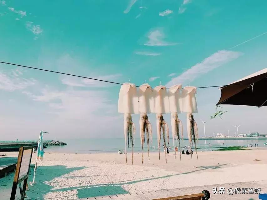 手机拍照新玩法,手机拍照必须这样拍