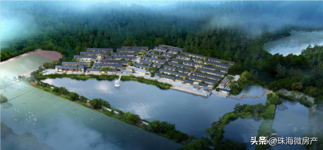 未来，金湾这里可“环游世界”，看知名赛事