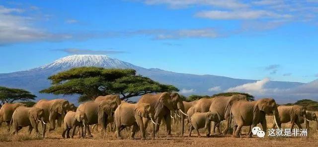 来肯尼亚之前应该知道的几件事,1分钟了解肯尼亚