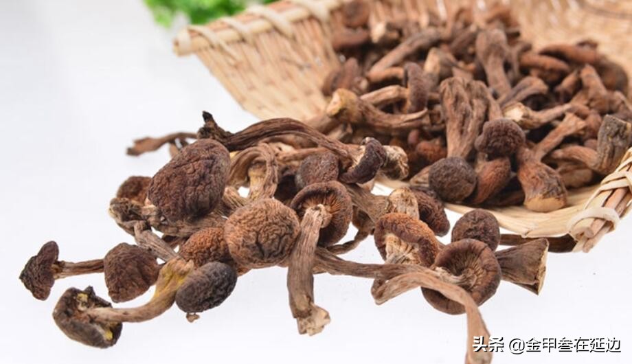 东北为啥都是大乱炖,东北乱炖是啥玩意儿