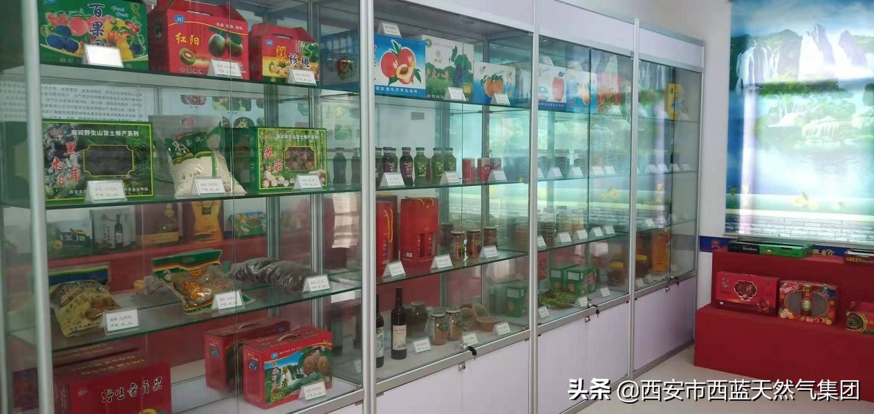 西蓝天然气董事长秦安,西蓝天然气集团有限公司