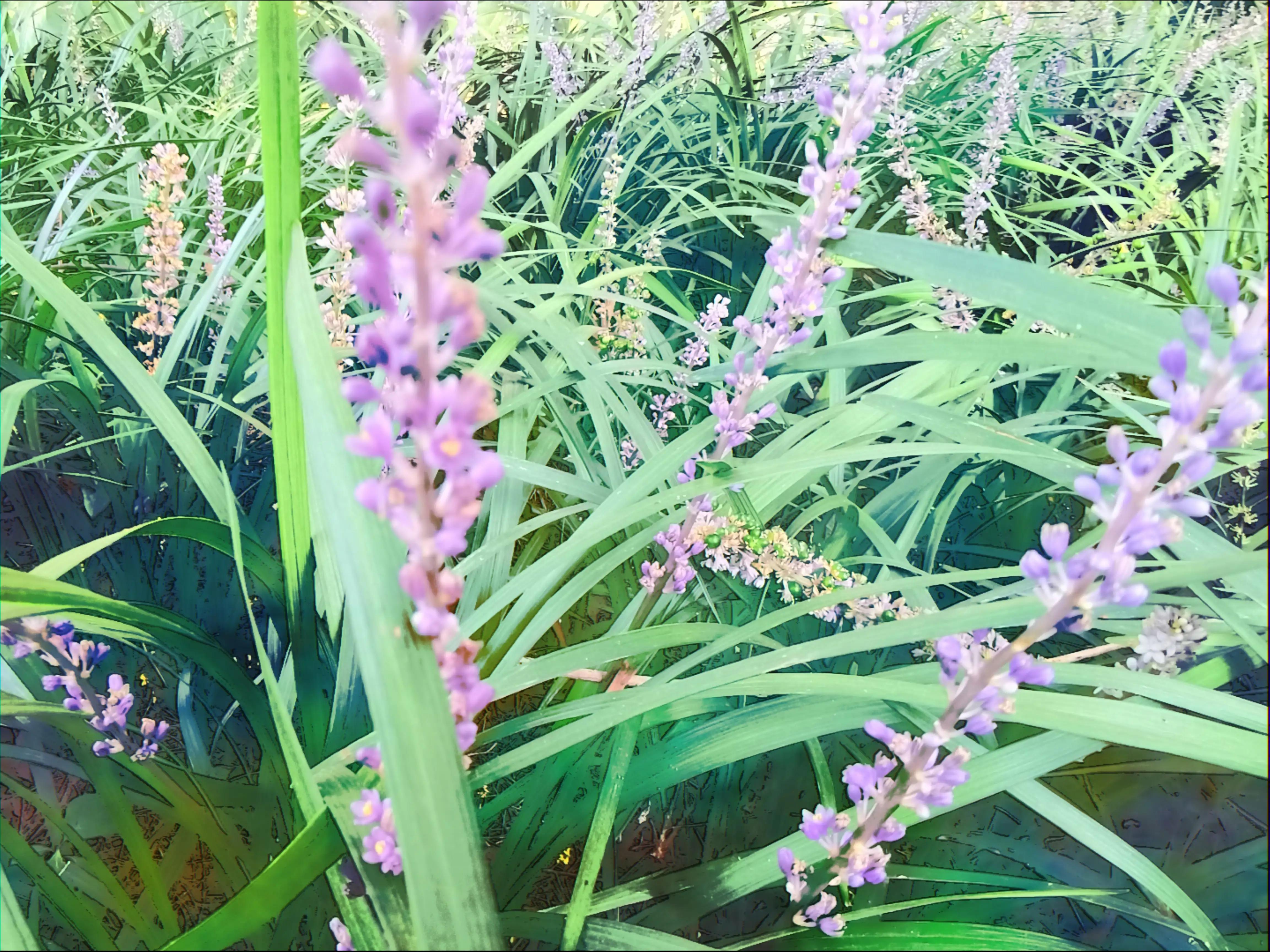 57岁退休阿姨,70岁阿姨哭诉晚年生活苦不堪言