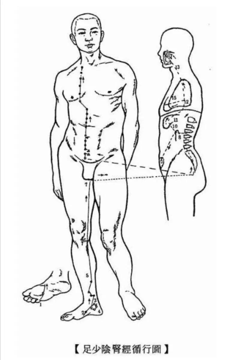 古法针灸巨灵派传承人黄贵生老师详解美容美体美人独家针法