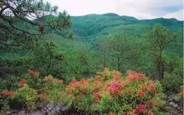 昆明周边旅游推荐地点大全,推荐昆明周边自驾游