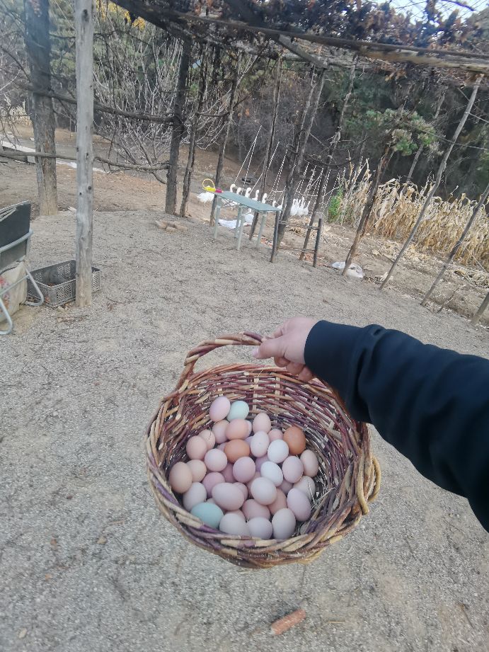 城市有城市的繁华乡村有乡村的美,城市有它的繁华农村有它的清静