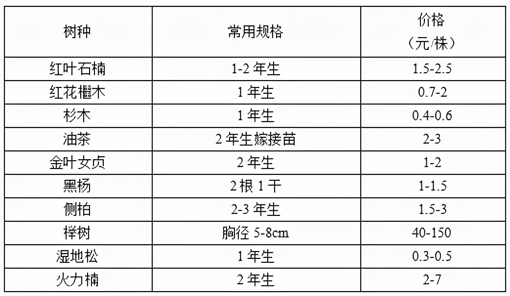 苗木市场前景预测2017,2023年下半年苗木价格报告
