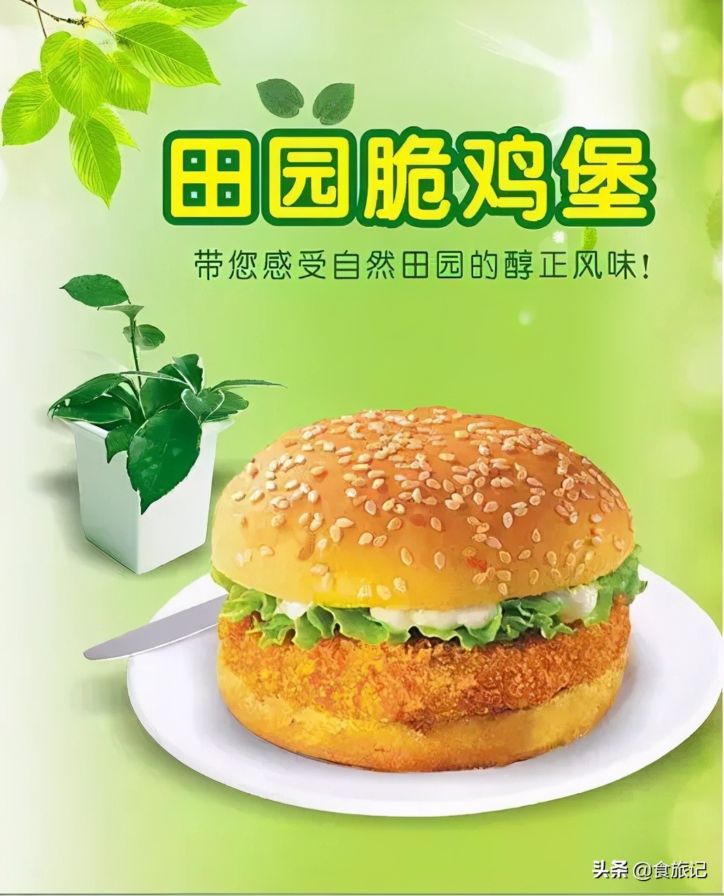 肯德基各种美食测评表,肯德基各种美食测评图表