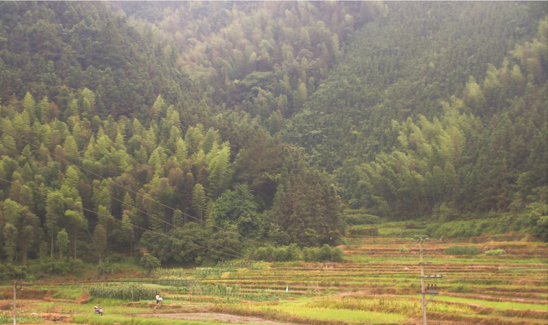 重岩叠嶂的峰峦,重岩叠嶂的山峰