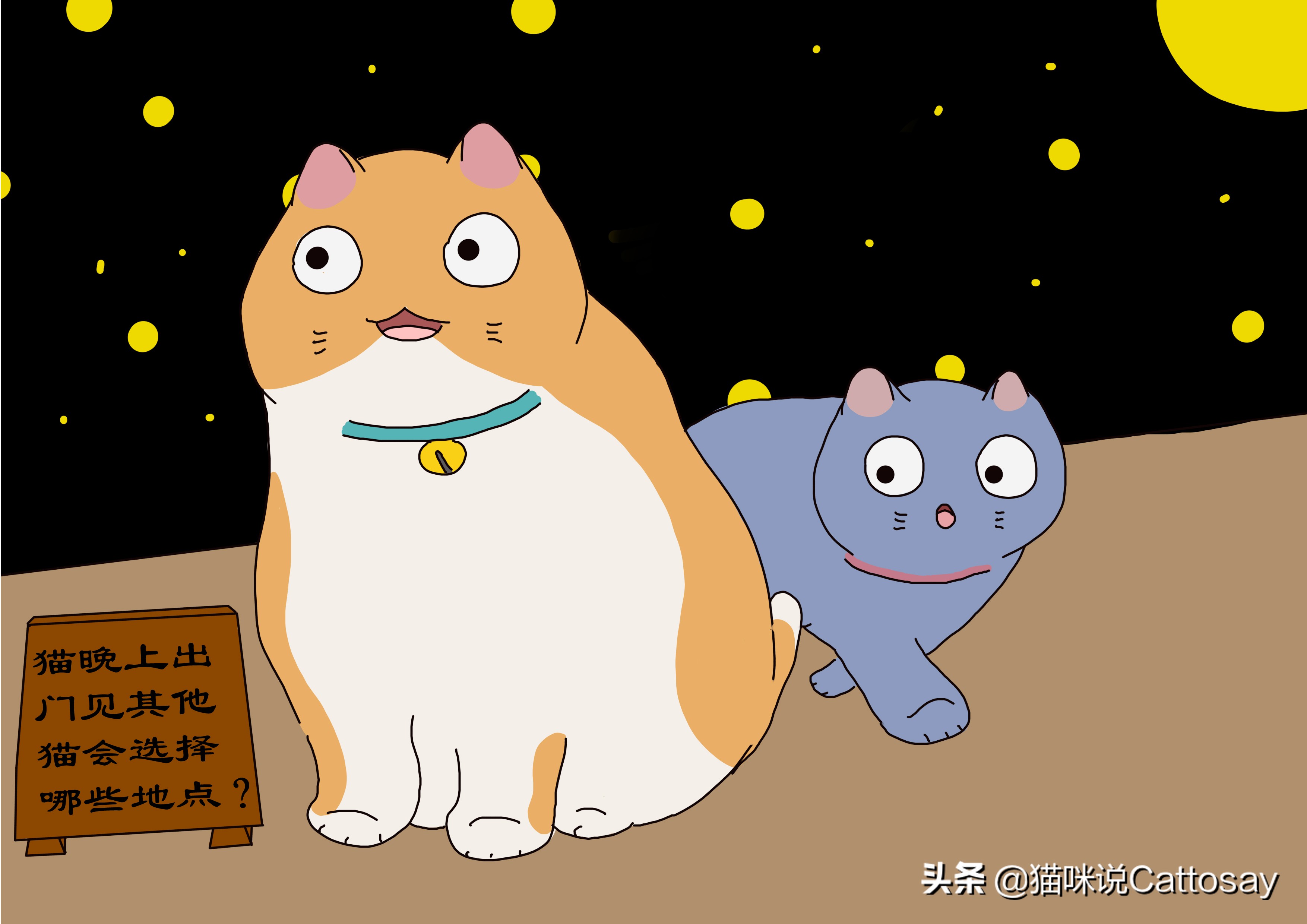 家猫出门遇到野猫,家猫每晚出去和野猫玩