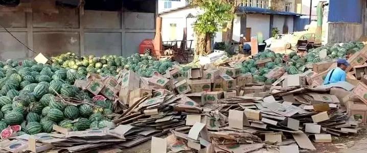 疫情之下中缅西瓜交易市场,缅甸西瓜最新消息