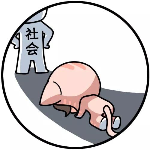 脑白金营销的成功之处,脑洗