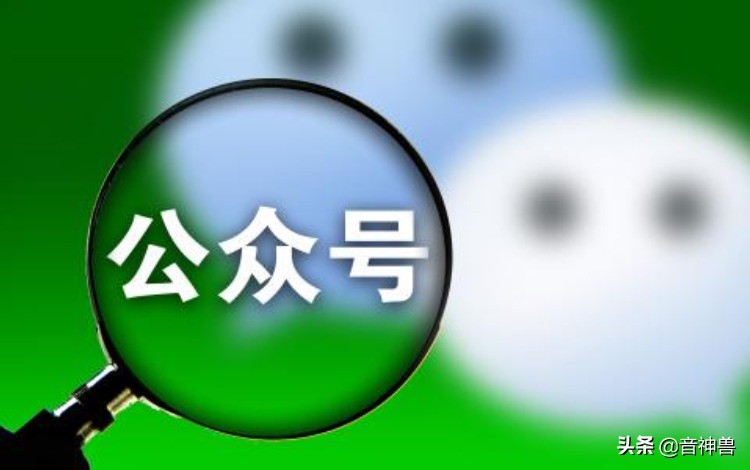 公众号更新了功能：专辑、搜索和多轮回复，来看正确使用姿势