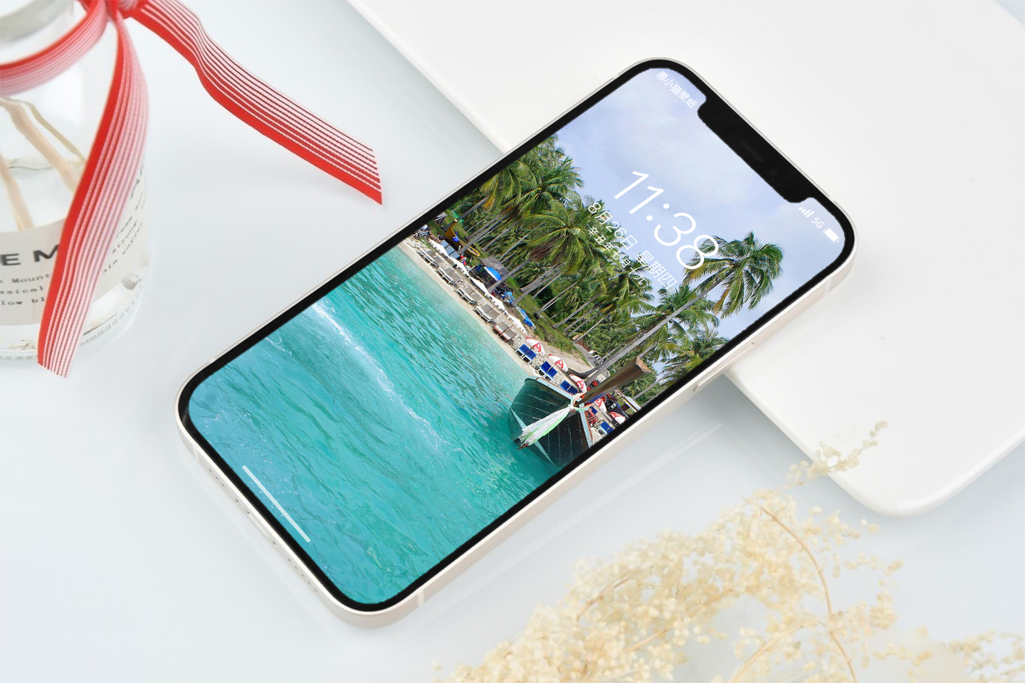 蓝天大海沙滩椰树图片高清壁纸,太阳蓝天大海海鸥的壁纸