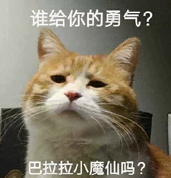 女子系鞋带被同伴推入水库,女子系鞋带被同伴推入水中后续