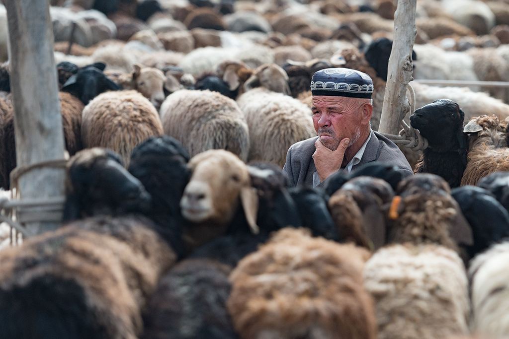 从新疆出发旅游要带什么,入疆旅游攻略