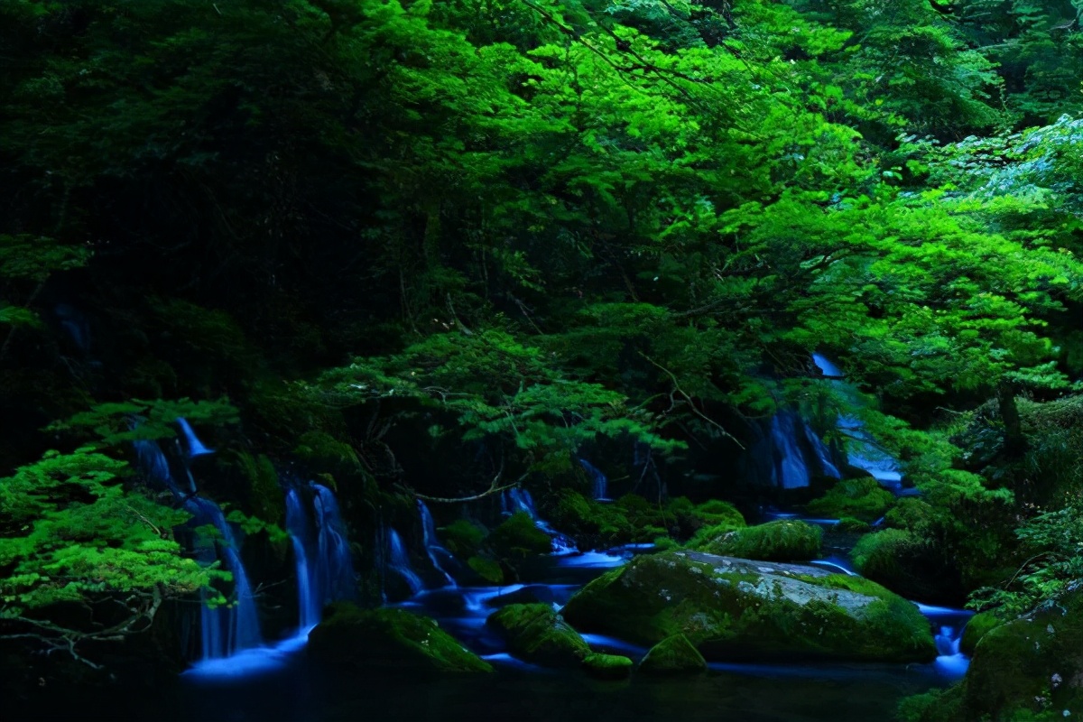 自来水污染与癌症,水污染导致癌症案例