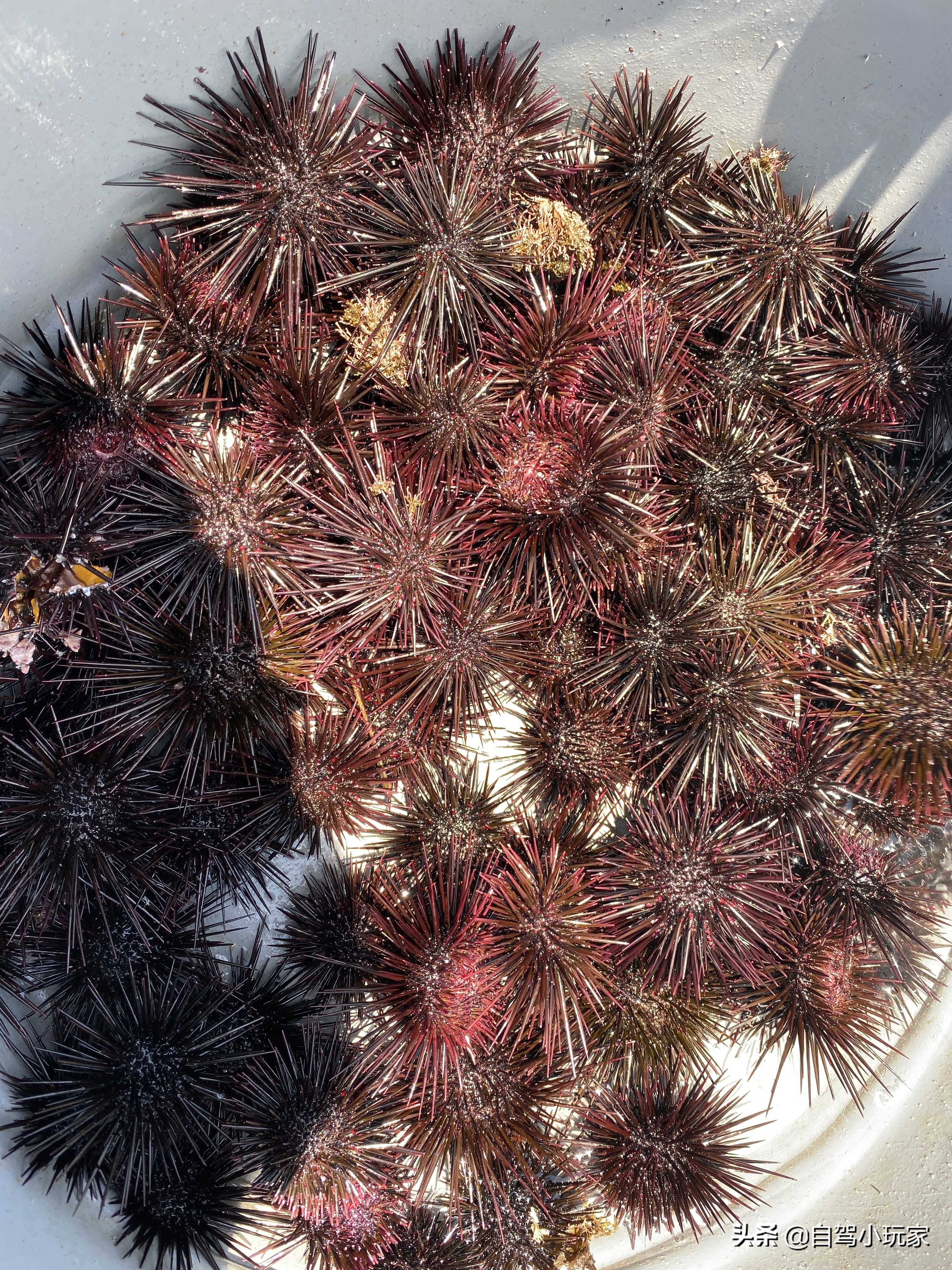 深圳哪有深幽秘境美景,深圳最安静的旅游地方