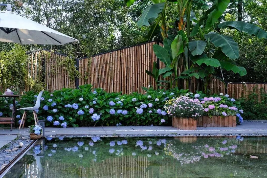 最新成都黄龙溪民宿包吃住一个月,成都周边游山中民宿