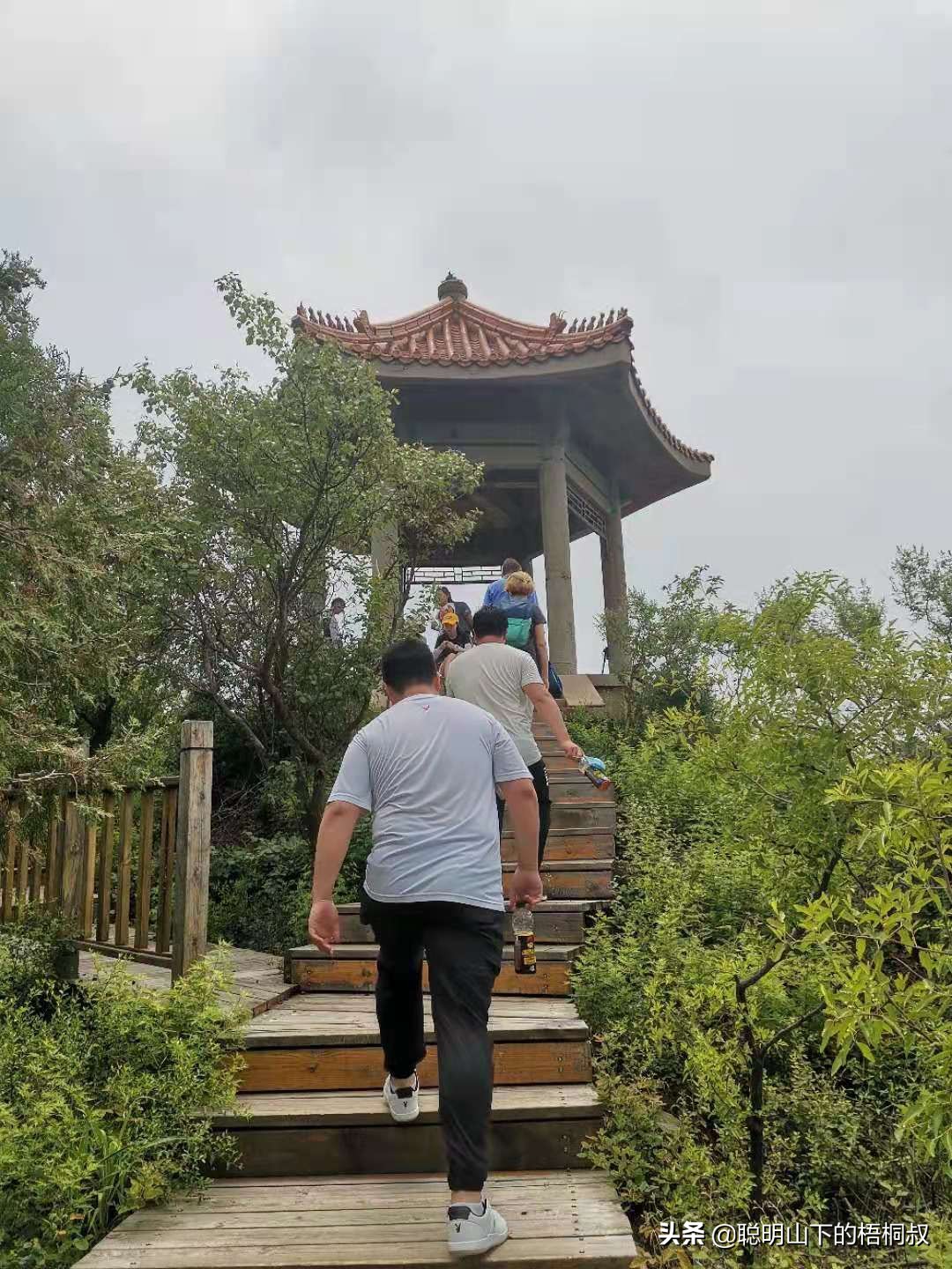 蟒山国家森林公园自由行攻略,北京蟒山森林公园游玩攻略