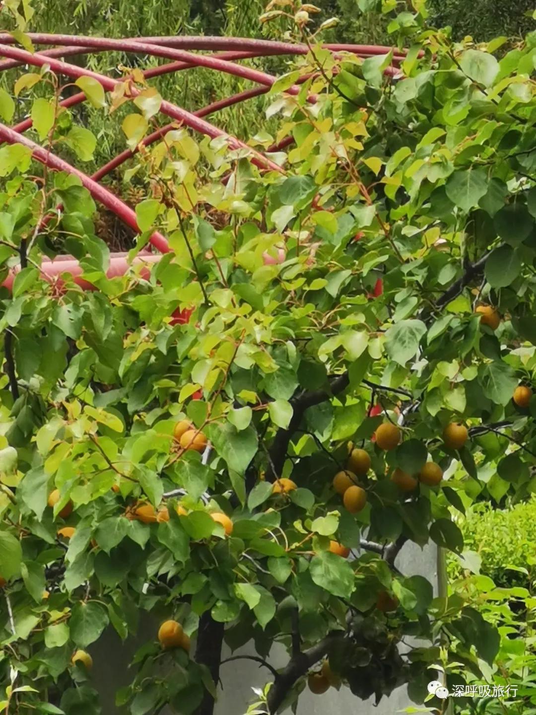 门头沟双龙峡小火车视频,京西小九寨百瀑谷