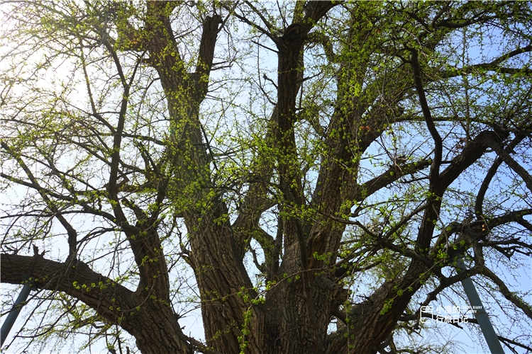 秦岭穿越一日游,西安秦岭峪口一日游