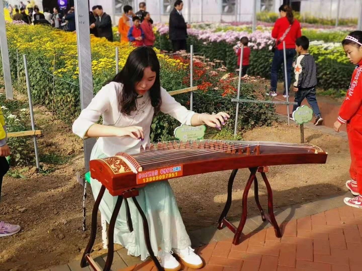 首届菊花节开幕,第三届泗阳菊花文化节